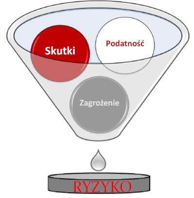 Zmiana podejścia do ryzyka W przyszłości Ryzyko zagrożenia Bariery systemowe