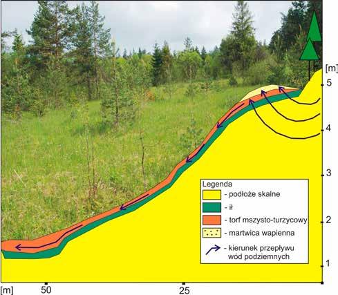 Ryc. 1. Przekrój stratygraficzny z kierunkiem przepływu wód podziemnych w obrębie kompleksu młak i torfowisk źródliskowych w sąsiedztwie Potoku Bembeńskiego (Orawa).