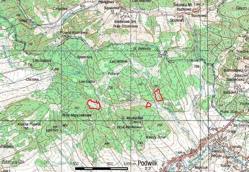 Wyznaczenie dodatkowych obszarów Natura 2000: Mechowiska Bembeńskie 11,9 ha, woj. małopolskie, region alpejski trzy torfowiska alkaliczne w dolinie Potoku Bembeńskie na Orawie.