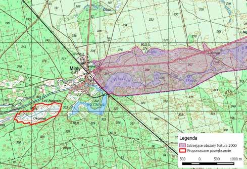 i szuwarami. Obiekt swoimi walorami przyrodniczymi znacznie przewyższa torfowiska alkaliczne obecnie ujęte w granicach tego obszaru Natura 2000 (Kujawa-Pawlaczyk et al. 2018). Dolina Miały PLH300042.