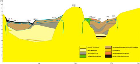 Ryc. 5. Funkcjonowanie wyspy mineralnej na torfowisku Gogolewko jako okna hydrologicznego. Ryc. 6. Wyspa mineralna na torfowisku Gogolewko.