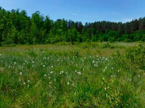 4. Jezioro Łaźnica, woj. warmińsko-mazurskie.