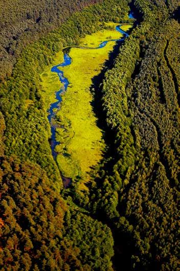 wszelkie zaburzenia w systemie hydrologicznym. Utrzymanie właściwych torfowiskom alkalicznym warunków wodnych jest kluczowym elementem utrzymania także ich właściwości retencyjnych.