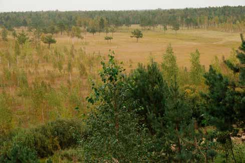 Fot. 10. Torfowisko w górnym basenie doliny Biebrzy (fot. R. Stańko). Fot. 11.
