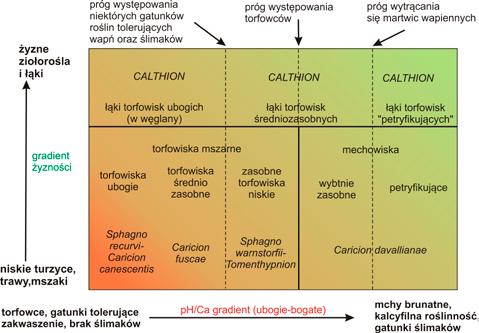 łąk (Hájek et al. 2006).