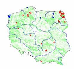 Ryc. 26. Występowanie Caricetum paniceo-lepidocarpae. Ryc. 27. Występowanie Eleocharitetum pauciflorae. Ryc. 28. Występowanie Juncetum subnodulosi.
