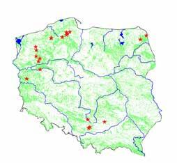 pierzasty Sphagnum subnitens, torfowiec obły Sphagnum teres i torfowiec Warnstorfa Sphagnum warnstorfii) oraz mchów brunatnych zajmujących wyższe miejsca w mikrotopografii torfowiska (np.