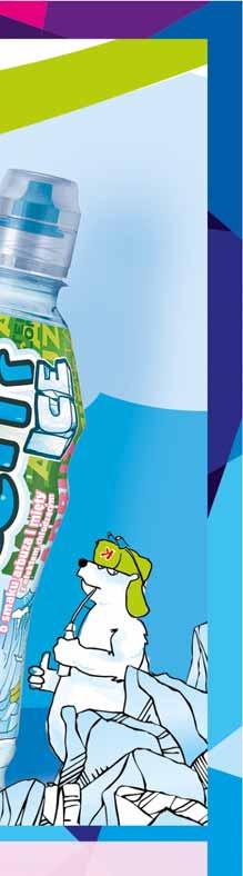 17 KUBUŚ WATERRR ICE 500 ML sprzedaż po 12 szt.