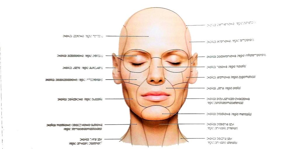 Okolica boczna szyi charakteryzuje się występowaniem obfitej tkanki podskórnej, co utrudnia palpacyjne wyczuwanie struktur.