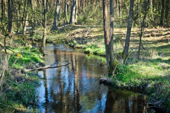 broczyć krwią serdeczną w obronie tej ziemi