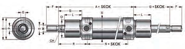 DVMT - z dwustronnym tłoczyskiem (P) Amortyzacja: mechaniczna ACMT#.