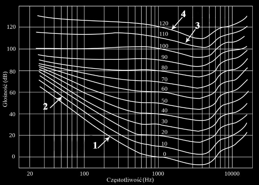 wydobycie niuansów brzmieniowych sygnału. Zadanie 8. Która z linii przedstawionych na wykresie krzywych izofonicznych obrazuje próg słyszalności? A. B. C. D.