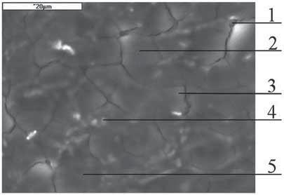 BADANIA WARSTW APATYTOWYCH NA TERMOSTATOWANYCH W SBF POD O ACH METALICZNYCH Z POW OKAMI KRZEMIANOWO-FOSFORANOWYMI a) Rys. 3. Morfologia powierzchni (a) i widmo EDX (punkt 2) ( próbki tsi20ca. Fig. 3. Morphology (a) and EDX spectrum(point 2) ( of the tsi20ca sample.