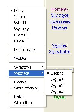 Wyniki mogą być podawane w innym niŝ układ globalny układzie współrzędnych. Wartości główne mogą być uzupełnione o kąt nachylenia do osi X.