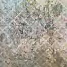 Natural 59,2, x 59,2 Carpet Vestige Natural