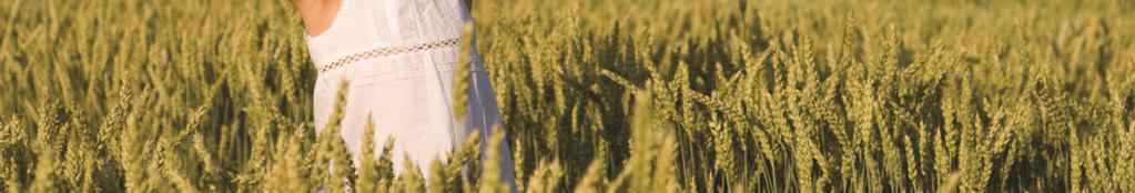 Isaiah s song highlights the people s failure the house of Israel and the people of Judah to bear fruit, to provide the Lord who has lovingly tended this vineyard with anything more than wild grapes,