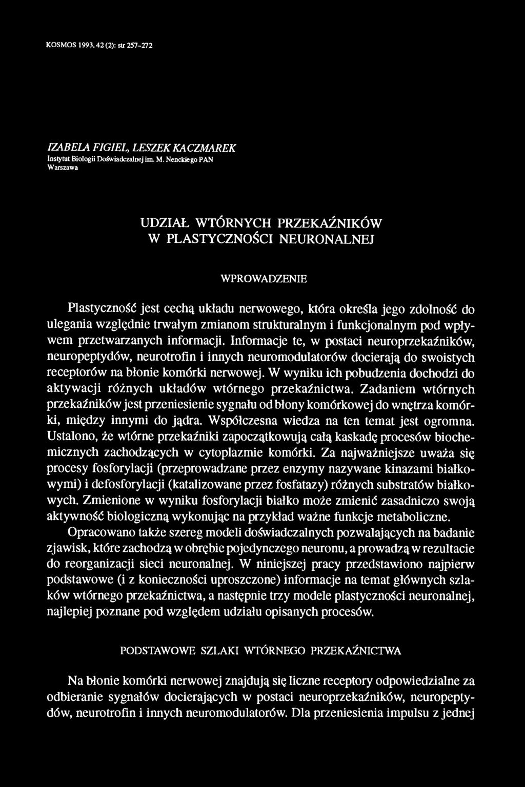 zmianom strukturalnym i funkcjonalnym pod wpływem przetwarzanych informacji.