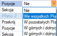 Kiedy pola płatwie i stężenia są aktywne, program automatycznie przypisuje im obciążenia od śniegu i wiatru. Polecenie Obciążenia Śnieg-Wiatr przestawione jest analitycznie w rozdziale Obciążenia.