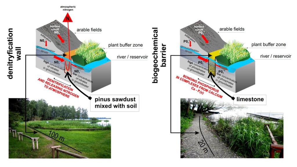 Wysokoefektywne strefy buforowe (roślinne pasy wzmocnione ścianą denitryfikacyjną lub barierą na bazie