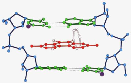 pomiędzy pierścienie aromatyczne w kwasie nukleinowym Bromek etydyny winterkalowany w helisę DNA "świeci"