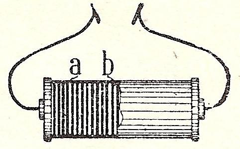 181 Guseppe Zambon