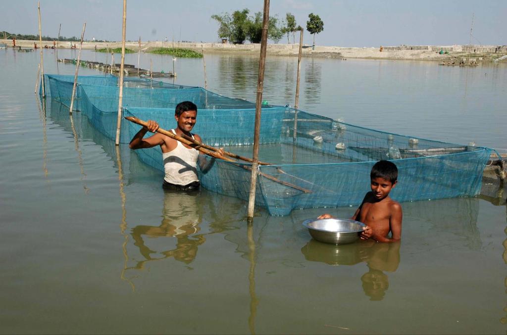 Zbiór ryb z sieci rybackich, Bangladesz. Foto.