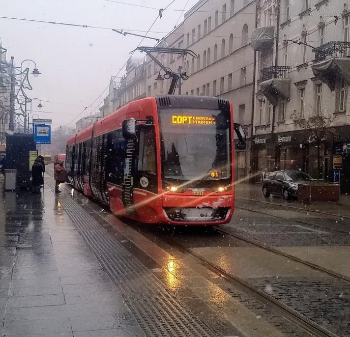 W roku 2018 skontrolowano 113 środków transportu publicznego tj.: 75 autobusów, 20 tramwajów, 18 wagonów w pociągach.