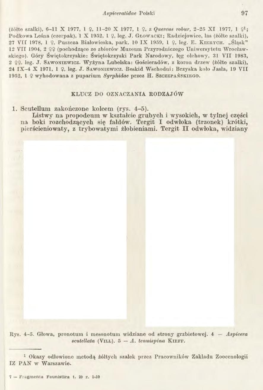 Aspiceratidae Polski 97 (żółte szalki), 6-11 X 1977, 1?, 11-20 X 1977, 1?, z Quercus robur, 2-25 X I 1977, 1 91; Podkowa Leśna (czerpak), 1 X 1952, l?, leg. J.