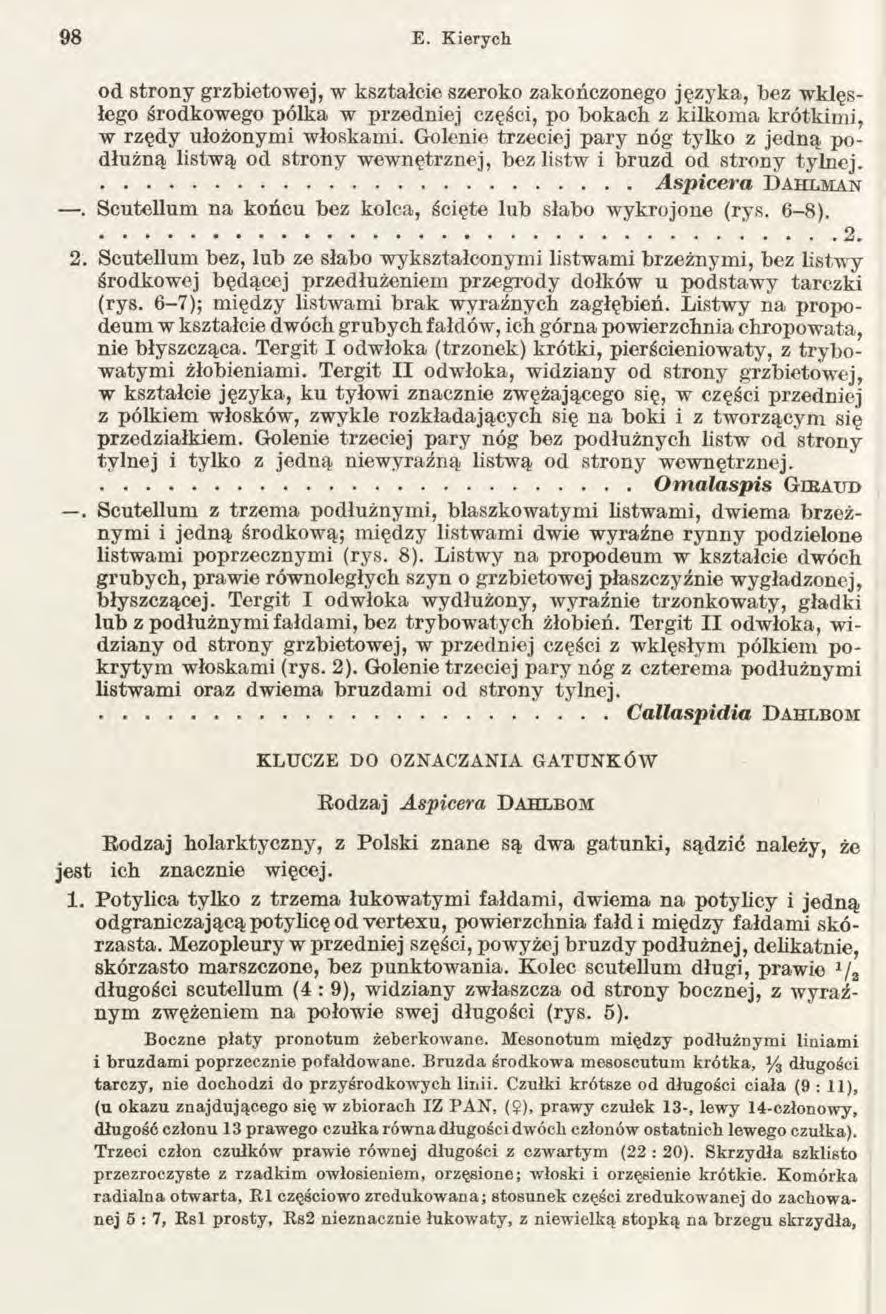 98 E. Kierych od strony grzbietowej, w kształcie szeroko zakończonego języka, bez wklęsłego środkowego pólka w przedniej części, po bokacb z kilkoma krótkimi, w rzędy ułożonymi włoskami.