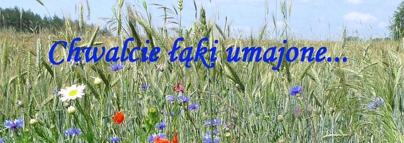 W naszym kościele Nabożeństwa Majowe będą odprawiane od poniedziałku do piątku po Mszy św. wieczornej, w soboty po Mszy o godzinie 8:15am a w niedziele o godz.6:30pm.