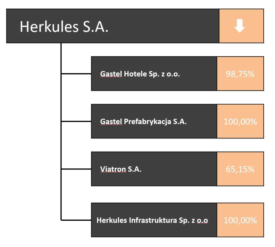 W związku z wyżej opisaną zmianą graficzna struktura Grupy Kapitałowej Herkules na dzień publikacji niniejszego sprawozdania przestawia się następująco: Grupa Kapitałowa Herkules nie posiada