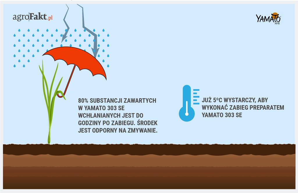 https://www. Do skutecznego zabiegu wystarczy już temperatura 5 C. Yamato 303 SE zaprojektowane zostało w formulacji SE, czyli w postaci cząstek stałych i małych kapsułek zawieszonych w wodzie.