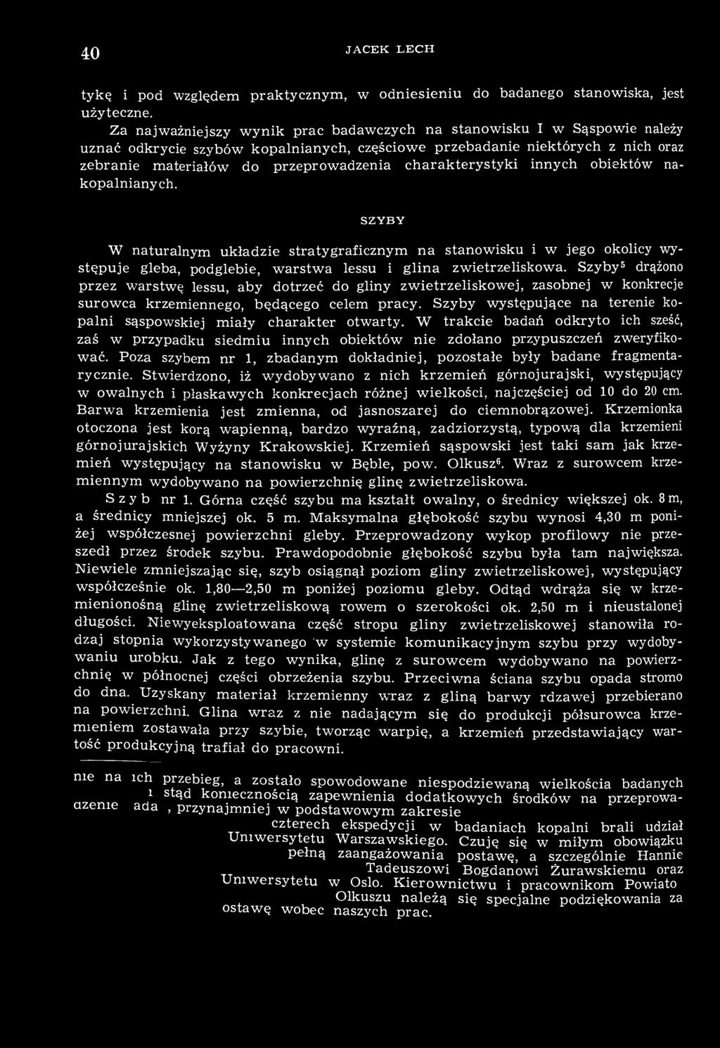 charakterystyki innych obiektów nakopalnianych. SZYBY W naturalnym układzie stratygraficznym na stanowisku i w jego okolicy występuje gleba, podglebie, warstwa lessu i glina zwietrzeliskowa.