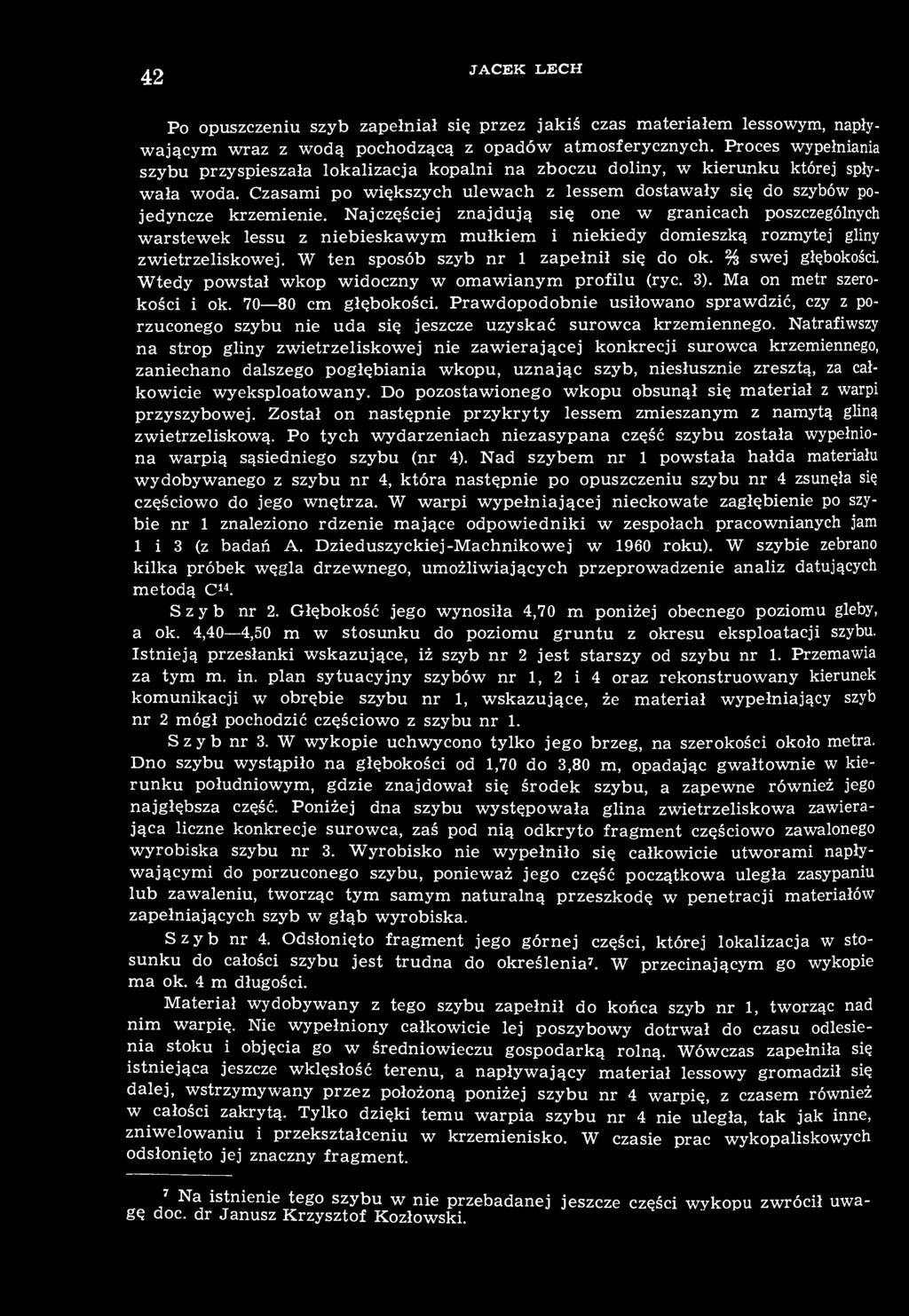 Najczęściej znajdują się one w granicach poszczególnych warstewek lessu z niebieskawym mułkiem i niekiedy domieszką rozmytej gliny zwietrzeliskowej. W ten sposób szyb nr 1 zapełnił się do ok.