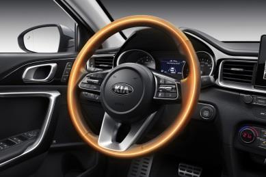 000zł 11 000 zł PROMOCJA Wyposażenie wersji Business Line (BL1) oraz dodatkowo : Kia Smart