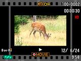 Oglądanie zdjęć i filmów Przeglądanie zdjęć Procedura oglądania zdjęć została opisana na stronie 28. Oglądanie filmu 1.