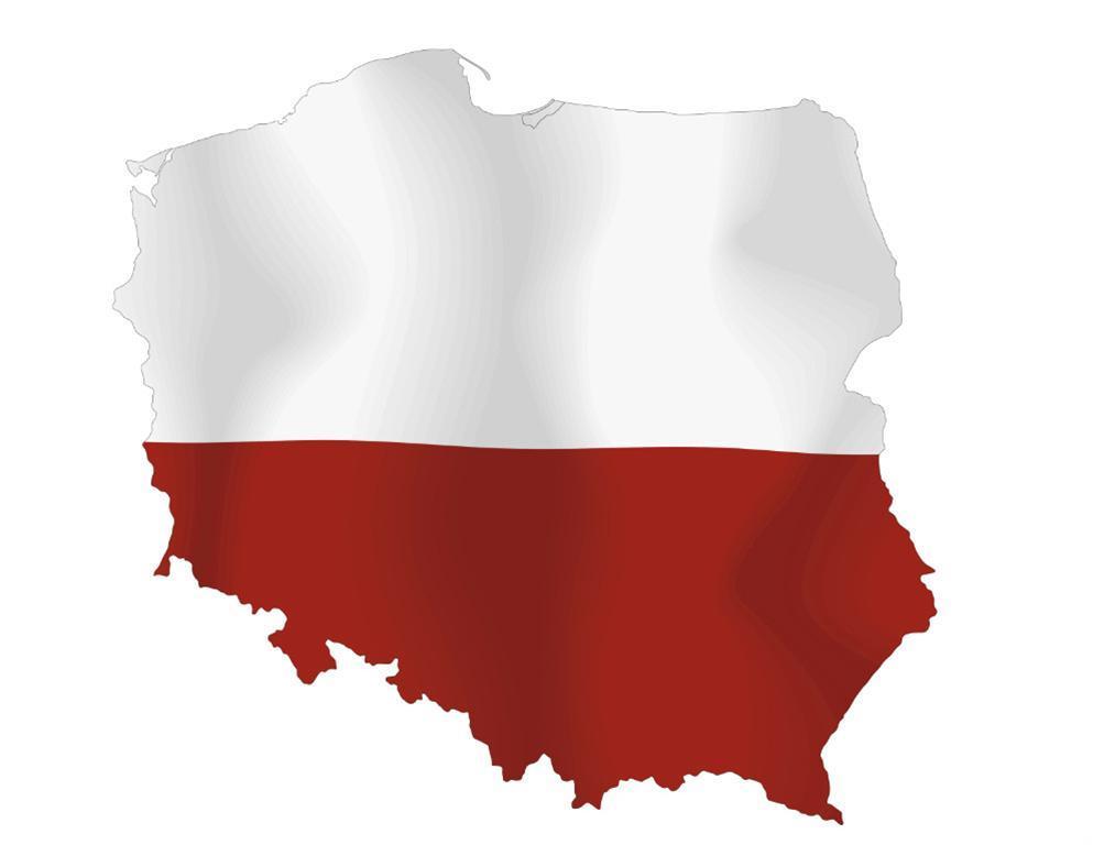 Polska ceremonialna umiarkowanie propartnerska polichroniczna niestała ekspresyjności Branowski M.
