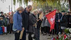 Plażojady, Odblaski dla dzieci w celu poprawy bezpieczeństwa, Pielęgnacja zieleni na terenie Osiedla, Biuletyny, ulotki, plakaty o tematyce osiedlowej, Dbałość o zieleń na osiedlu, park, skwery i