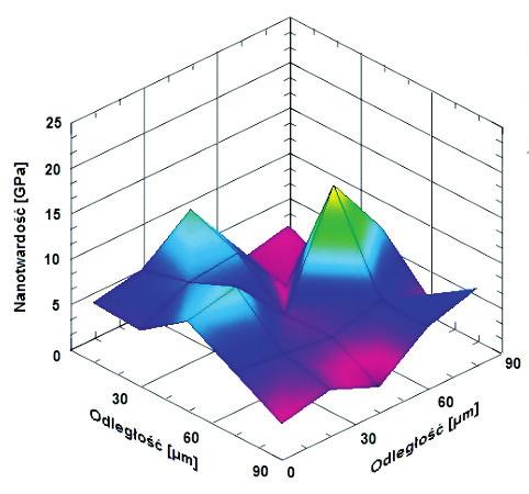 3D Young modulus distribution of the sample: MWCNT. laser.0.5ms, MWCNT.laser.1ms Rys. 8.