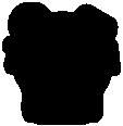 Auta Item: 100217124
