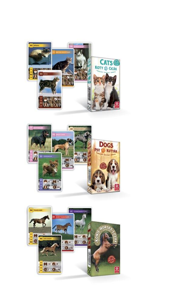 gry karciane Shuffle FUN KOTY Kwartet 3+ 2-4 CATS Quartet Game 12 62x100 Item: 1289000497 Ean: 5901911002150 PSY Kwartet DOGS