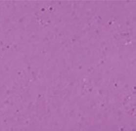 16,00 zł *przy zakupie minimum 2 szt Hydrocolor 5 453 g *