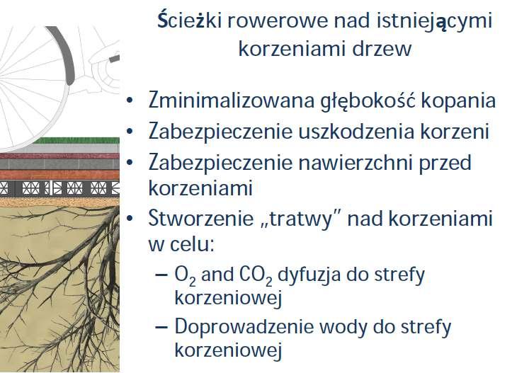 Korzyści z