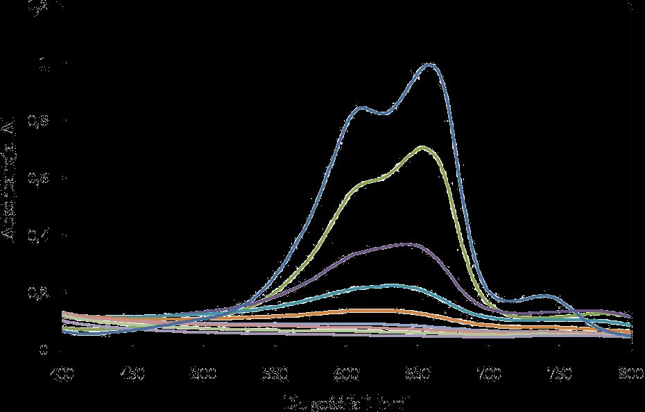27 Rys. 15. Widma UV-Vis BM po reakcji z rodnikami hydroksylowymi. Różny dodatek 0,3% H2O2 do mieszaniny reakcyjnej (0,0 4,0 μl, co 0,5 μl ). Fig. 15. UV-Vis spectra of MB after reaction with hydroxyl radicals.