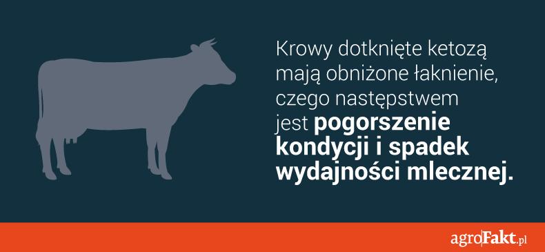 https://www. Cechy fizyko-chemiczne mleka ulegają pogorszeniu. Ma ono zmieniony smak, zapach oraz gęstość. Natomiast poziom tłuszczu wzrasta, podobnie jak liczba komórek somatycznych.