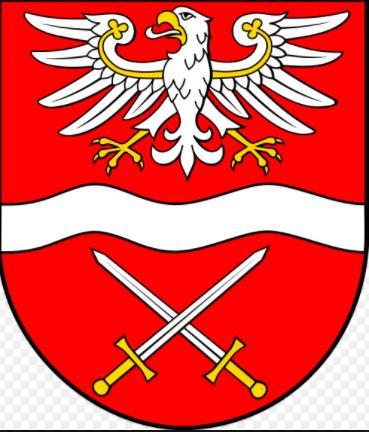 POWIATU SOCHACZEWSKIEGO ZA