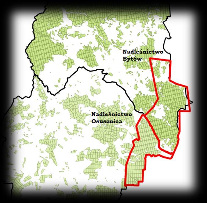RDLP w Szczecinku Dzień trzeci