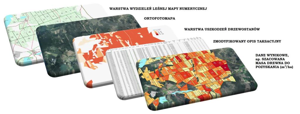 RDLP w Szczecinku Założenia procedury