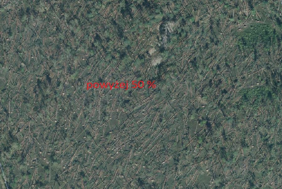 Unikalny