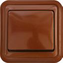 Brown GLK-1e (1xRJ45, kat.